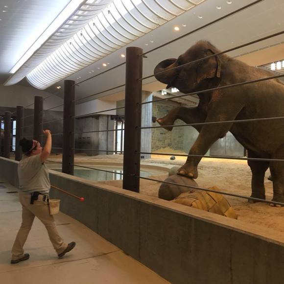 Meet your Posher, Becca - Picture 1 of 1